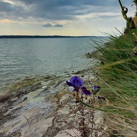 Seaview Ljubač