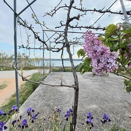 아파트 Seaview